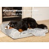 image:imagePetFusion BetterLounge Orthopedic Dog Bed  Solid CertiPURUS Memory Foam Waterproof liner  Medium  Large amp XL  Removable MicroSuede Cover Available Separately 1 YR WarrGreyGrey