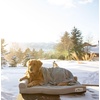 image:imagePetFusion BetterLounge Orthopedic Dog Bed  Solid CertiPURUS Memory Foam Waterproof liner  Medium  Large amp XL  Removable MicroSuede Cover Available Separately 1 YR WarrGreyGrey