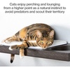 image:imagePetFusion Cat Activity Wall Shelves 3 Piece Set Wall Mount  Sisal Surfaces for Scratching and Plush Pad to Lounge Neutral Design and Color Tones
