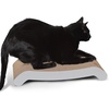 image:imagePetFusion Cat Scratching Flip Pad 2 Designsin One  Superior Cardboard and Construction Significantly Outlasts Cheaper AlternativesStandard  White
