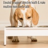 image:imagePetFusion Elevated Bamboo Dog Feeder New with Water Resistant Seal 8 Height for Medium amp Large Dogs 2 US Food Grade Stainless Steel 56 oz BowlsWhite