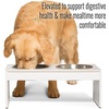 image:imagePetFusion Elevated Bamboo Dog Feeder New with Water Resistant Seal 8 Height for Medium amp Large Dogs 2 US Food Grade Stainless Steel 56 oz BowlsWhite