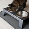 image:imagePetFusion Elevated Dog Bowls Cat Bowls  Premium Anodized Aluminum Feeder Short 4 Us Food Grade Stainless Steel Raised BowlsMetallic GrayShort  4