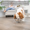 image:imagePetFusion Elevated Dog Bowls Cat Bowls Innovative Raised Pet FeederTranslucent