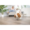 image:imagePetFusion Elevated Dog Bowls Cat Bowls Innovative Raised Pet FeederTranslucent