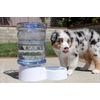 image:imagePetFusion H2O Gravity Pet Water Dispenser 25 Gallon Transparent  Durable Waterer Feeder Automatic Station for Cats and Small Medium Large Dogs