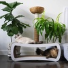 image:imagePetFusion Jumbo Cat Scratcher Lounge White 39 x 11 x 14 inch 4 Cardboard Scratching Surfaces and 2 Levels Scratch Play Perch and Hide100 Recyclable Cardboard Cat Lounge  4 Cardboard Scratching Surfaces and 2 Levels Scratch Play Perch and Hide 100 Recyclable Cardboard