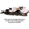 image:imagePetFusion Premium Dog amp Cat Blanket  Ultra Soft Pet Blanket Available in Plush or Quilted 2 Colors Grey Brown  Perfect for Small Dogs amp Large DogsBrown