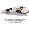 image:imagePetFusion Premium Dog amp Cat Blanket  Ultra Soft Pet Blanket Available in Plush or Quilted 2 Colors Grey Brown  Perfect for Small Dogs amp Large DogsGrey