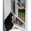 image:imagePetFusion Tranquility Window Bird Feeder in Premium Lucite Acrylic I Removable Tray II 3 Perches ClearNarrowA