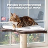 image:imagePetFusion Ultimate Cat Window Climbing Perch 45 Tall Tree Sisal Scratching Posts Modern Design Simply Suctions to Window EASY TO ASSEMBLE  Tree Sisal Scratching Posts Modern Design Simply Suctions to Window Easy to AssembleEspresso finish