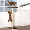 image:imagePetFusion Ultimate Cat Window Climbing Perch 45 Tall Tree Sisal Scratching Posts Modern Design Simply Suctions to Window EASY TO ASSEMBLE  Tree Sisal Scratching Posts Modern Design Simply Suctions to Window Easy to AssembleEspresso finish