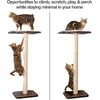 image:imagePetFusion Ultimate Cat Window Climbing Perch 45 Tall Tree Sisal Scratching Posts Modern Design Simply Suctions to Window EASY TO ASSEMBLE  Tree Sisal Scratching Posts Modern Design Simply Suctions to Window Easy to AssembleEspresso finish