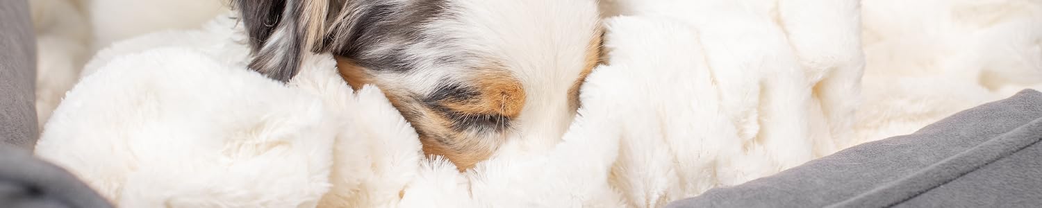 PetFusion | Premium Stylish Pet Furniture & Pet Beds,Premium Pet Furniture Designed for Comfort, Health & Modern Homes