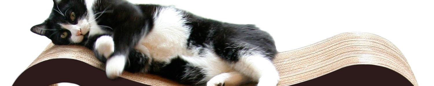 PetFusion | Premium Stylish Pet Furniture & Pet Beds,Premium Pet Furniture Designed for Comfort, Health & Modern Homes
